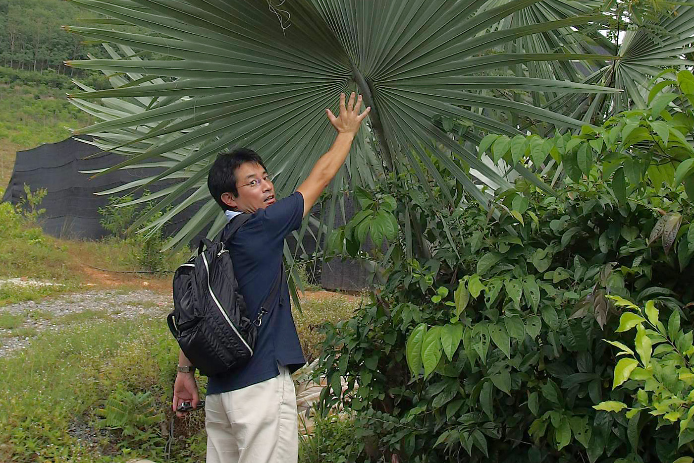 植物園にて葉の大きさに驚く