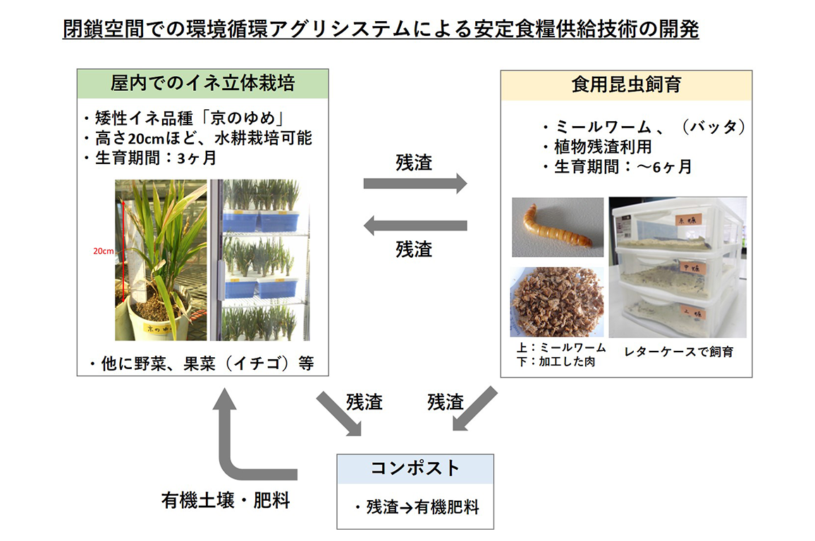 未来食研究開発センター