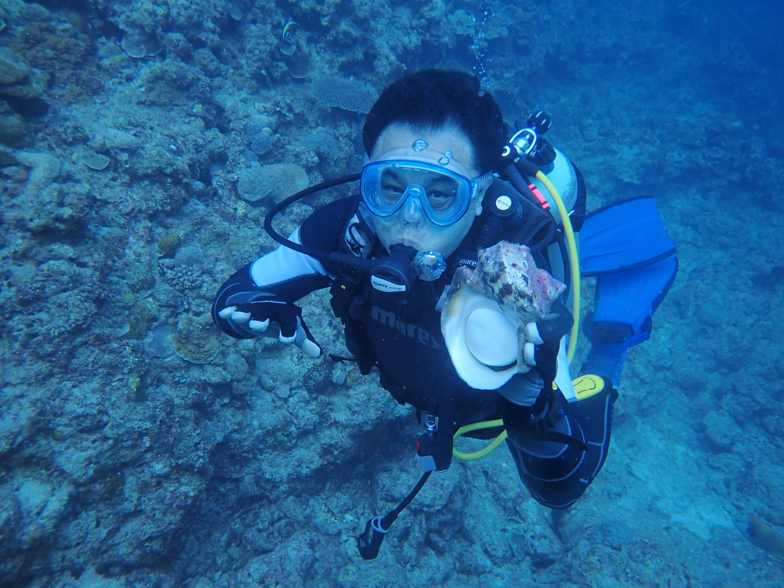 沖縄の海に潜っています。